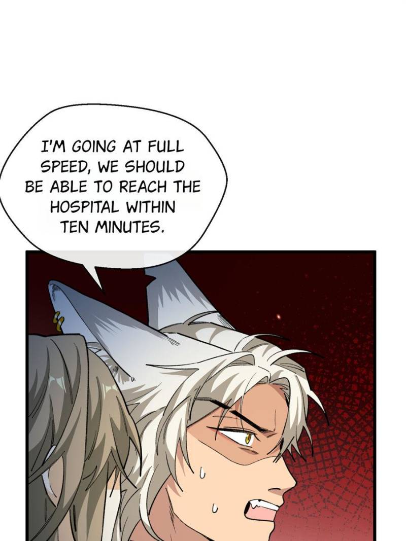 81787883 800 1067 74775